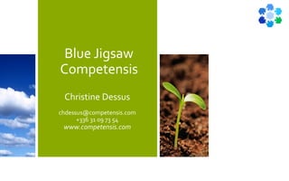 Blue Jigsaw
Competensis
Christine Dessus
chdessus@competensis.com
+336 31 09 73 54
www.competensis.com
 