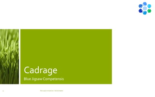 Cadrage
Blue Jigsaw Competensis
Blue Jigsaw Competensis - Business Model13
 