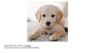 OpenSource is like a puppy
Come for free but with responsibility
 