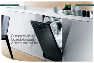 Rex Lavastoviglie 24 47