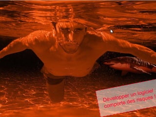 35
Développer un logiciel
comporte des risques !
 