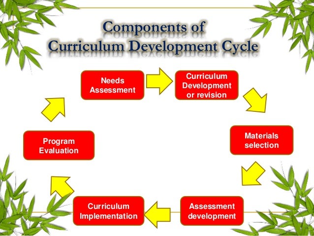 curriculum development cycle curriculum development