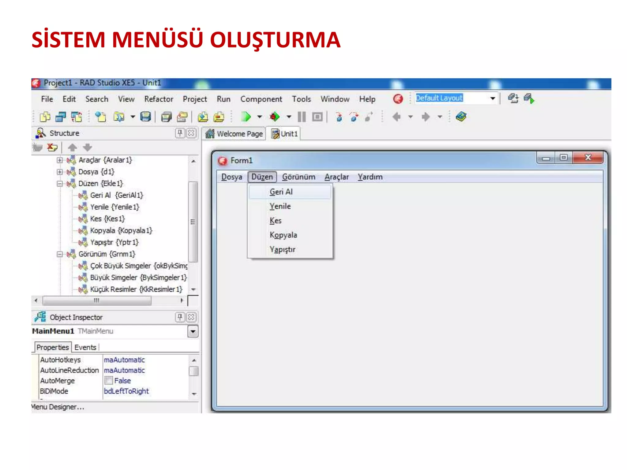 SİSTEM MENÜSÜ OLUŞTURMA
 