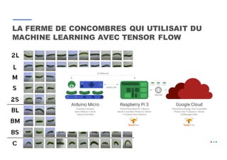 19
LA FERME DE CONCOMBRES QUI UTILISAIT DU
MACHINE LEARNING AVEC TENSOR FLOW
 