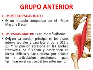 GRUPO ANTERIOR
 