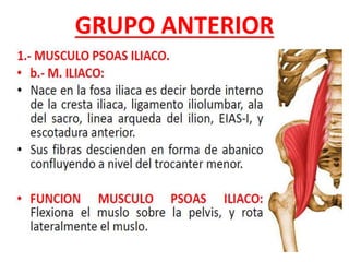 GRUPO ANTERIOR
 