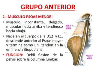 GRUPO ANTERIOR
 
