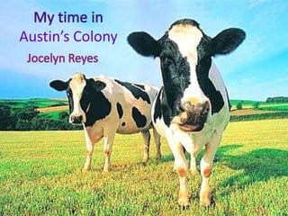 Austin’s Colony
 