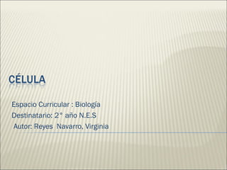 Espacio Curricular : Biología
Destinatario: 2° año N.E.S
Autor: Reyes Navarro, Virginia
 