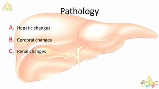 Pathology
A. Hepatic changes
B. Cerebral changes
C. Renal changes
 