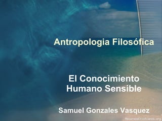 El Conocimiento Humano Sensible Samuel Gonzales Vasquez Antropologia Filosófica 