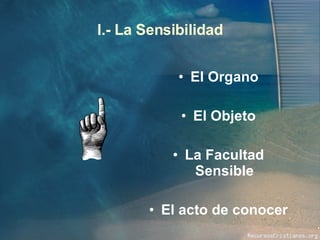 I.- La Sensibilidad El Organo El Objeto La Facultad Sensible El acto de conocer 
