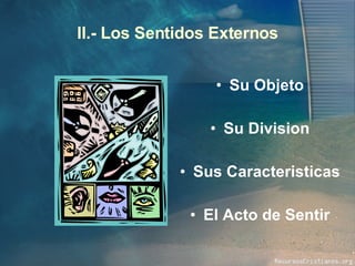 II.- Los Sentidos Externos Su Objeto Su Division Sus Caracteristicas El Acto de Sentir 