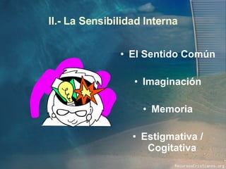 II.- La Sensibilidad Interna El Sentido Común Imaginación Memoria Estigmativa / Cogitativa 