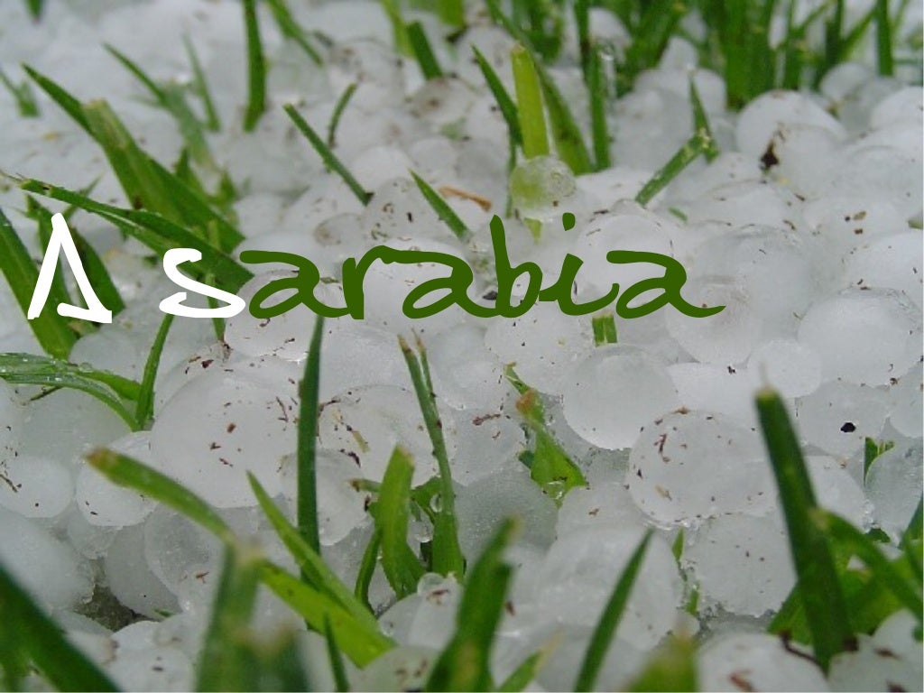 Saravia