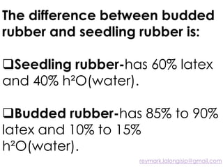 The difference between budded
rubber and seedling rubber is:
Seedling rubber-has 60% latex
and 40% h²O(water).
Budded rubber-has 85% to 90%
latex and 10% to 15%
h²O(water).
reymark.lalongisip@gmail.com
 