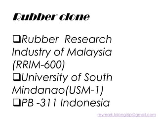 Rubber clone
Rubber Research
Industry of Malaysia
(RRIM-600)
University of South
Mindanao(USM-1)
PB -311 Indonesia
reymark.lalongisip@gmail.com
 