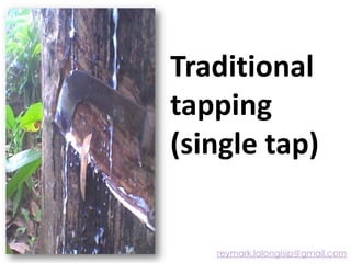 Traditional
tapping
(single tap)
reymark.lalongisip@gmail.com
 