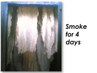 Smoke
for 4
days
 