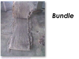 Bundle
reymark.lalongisip@gmail.com
 