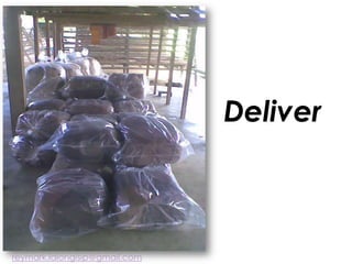 Deliver
reymark.lalongisip@gmail.com
 