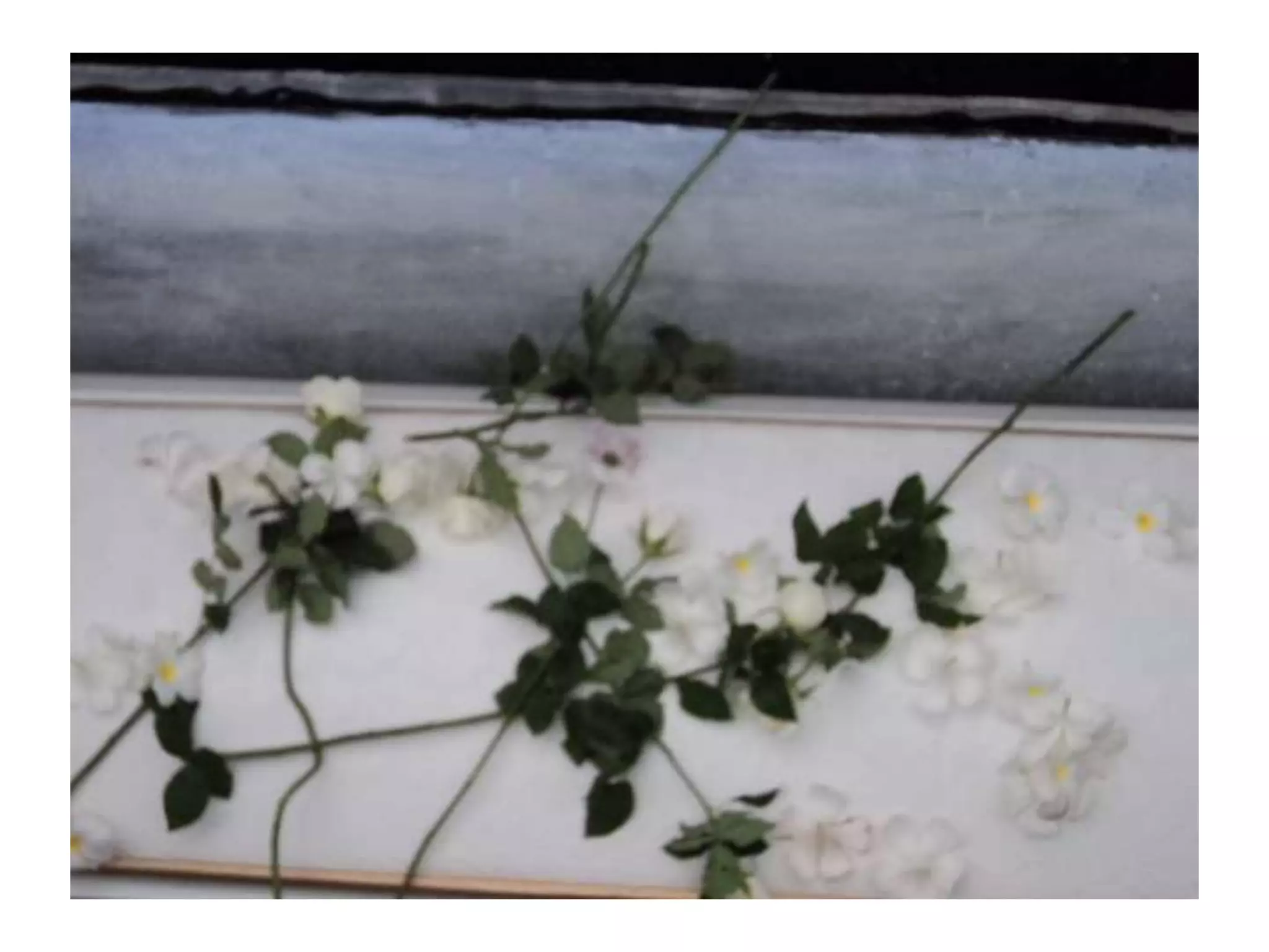 Reynaldo C. Macapagal Treasured Moments