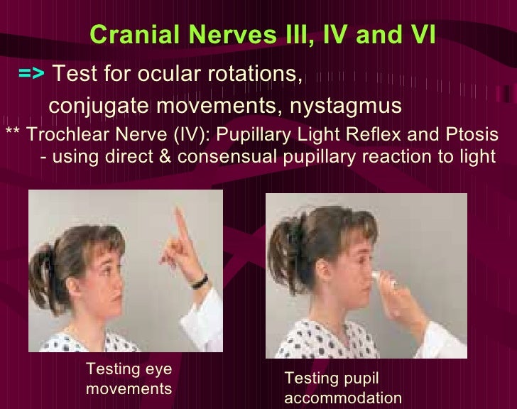 Neuro Assessment