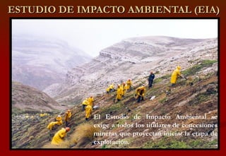 Estudio de casos reales de estudio de impacto ambiental en el sector ...
