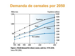 Demanda de cereales por 2050
 