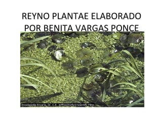 REYNO PLANTAE ELABORADO POR BENITA VARGAS PONCE 