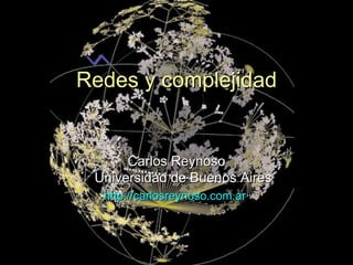 Redes y complejidad


      Carlos Reynoso
 Universidad de Buenos Aires
  http://carlosreynoso.com.ar



                                1
 