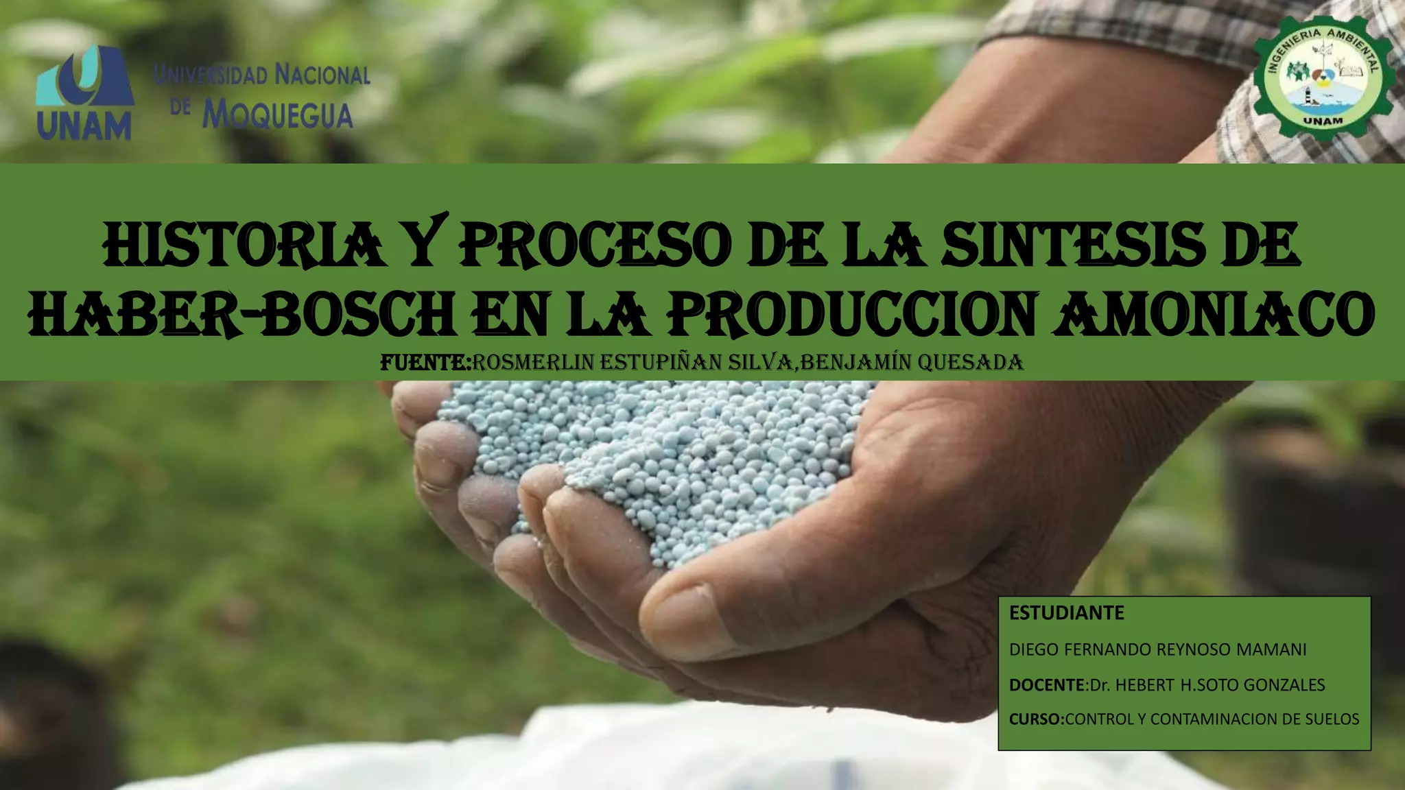 PROCESO HABER BOSH.pdf