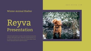 Reyva
Presentation
Winter Animal Shelter
 