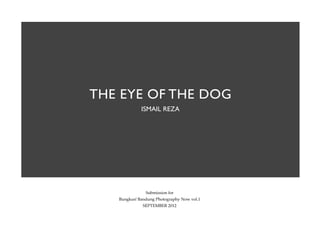 THE EYE OF THE DOG
             ISMAIL REZA




               Submission for
   Bungkus! Bandung Photography Now vol.1
              SEPTEMBER 2012
 