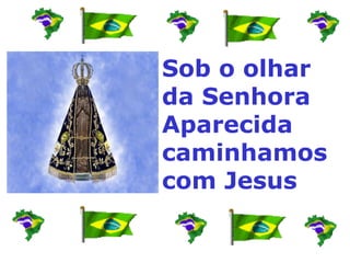 Sob o olhar da Senhora Aparecida  caminhamos com Jesus 