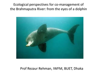 Ecological perspectives for co-management of
the Brahmaputra River: from the eyes of a dolphin

Prof Rezaur Rehman, IWFM, BUET, Dhaka

 
