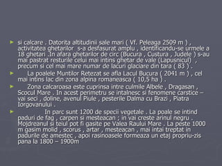 si calcare . Datorita altitudinii sale mari ( Vf. Peleaga 2509 m ) , activitatea ghetarilor  s-a desfasurat amplu , identificandu-se urmele a 18 ghetari .In afara ghetarilor de circ (Bucura , Custura , Judele ) s-au mai pastrat resturile celui mai intins ghetar de vale (Lapusnicul)  , precum si cel mai mare numar de lacuri glaciare din tara ( 83 ) . La poalele Muntilor Retezat se afla Lacul Bucura ( 2041 m ) , cel mai intins lac din zona alpina romaneasca ( 10,5 ha ) . Zona calcaroasa este cuprinsa intre culmile Albele , Dragasan , Scocul Mare . In acest perimetru se intalnesc si fenomene carstice – vai seci , doline, avenul Piule , pesterile Dalma cu Brazi , Piatra Iorgovanului . In parc sunt 1200 de specii vegetale . La poale se intind paduri de fag , carpen si mesteacan ; in vai creste arinul negru . Mojdreanul si teiul pot fi gasite pe Valea Raului Mare . La peste 1000 m gasim molid , scorus , artar , mesteacan , mai intai treptat in padurile de amestec , apoi rasinoasele formeaza un etaj propriu-zis pana la 1800 – 1900m 