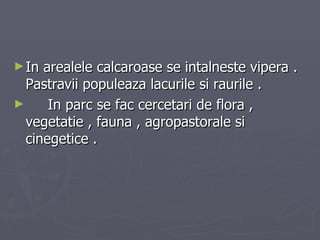 In arealele calcaroase se intalneste vipera . Pastravii populeaza lacurile si raurile . In parc se fac cercetari de flora , vegetatie , fauna , agropastorale si cinegetice . 
