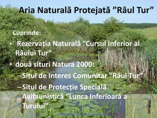 Aria Naturală Protejată ”Râul Tur”
Cuprinde:
• Rezervația Naturală ”Cursul Inferior al
Râului Tur”
• două situri Natura 2000:
–Situl de Interes Comunitar ”Râul Tur”
–Situl de Protecție Specială
Avifaunistică ”Lunca Inferioară a
Turului”
 