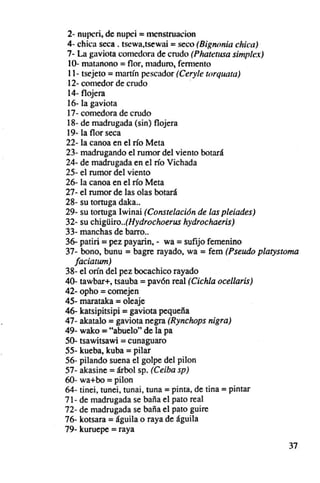 2- nupcri, de nupei = menstruncion
 4- chi ca seca . tscwa.tsewal = seco {Bignonia chica)
 7- La gaviota comedora de crudo (Phatctusa simples}
 10- matnnono = flor , maduro, fermento
 11- tsejeto = martín pescador (Ceryle torquata}
 12- comedor de crudo
 14- flojera
 16- la gaviota
 17- comedora de crudo
 18- de madrugada (sin) flojera
 19- la flor seca
22- la canoa en el río Mela
23- madrugando el rumor del viento botará
24- de madrugada en el rfo Vichada
25- el rumor del viento
26- la canoa en el río Meta
27- el rumor de las olas botará
28- su tortuga daka..
29- su tortuga Iwinai (Constelación de las pleiades)
32- su chigüiro..(Hydrochoerus hydrochaeris)
33- manchas de barro..
36- patiri = pez payarin, - wa = sufijo femenino
37- bono, bunu = bagre rayado. wa = fem (Pseudo platystoma
   [a ciatum}
38- el orfn del pez bocachico rayado
40- tawbar-, tsauba = pavón real (Cichla ocellaris)
42- opho = comejen
45- marataka = oleaje
46- katsipitsipí = gaviota pequeña
47- akatalo = gaviota negra (Rynchops nigra)
49- wako = "abuelo" de la pa
50- tsawitsawi = cunaguaro
55- kueba, kuba = pilar
56- pilando suena el golpe del pilon
57 - akasine = árbol sp. (Ceiba sp)
60- wa+bo = pilon
64- tinei, tunei, tunai, tuna = pinta, de tina = pintar
71- de madrugada se baña el pato real
72- de madrugada se baña el pato guire
76- kotsara = águila o raya de águila
79- kuruepe = raya
                                                       37
 