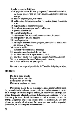 9· daka = especie de tortuga
       10- Kajuyali = Héroe Sikuani y Piupoco, Constelación de Orión.
           Su pierna se convirtió en bagre rayado. Aquí simboliza una
            tortuga.
       11- bunu = bagre rayado, wa = fem .
       12· yaki = pinta de líneas paralelas, rei = orina; bagre fem, pinta
        .' orina
       13- la pinta del pez bocachico rayado
       18· tsawbar+, tsauba = pez pavón en Piapoco
      19· gaviota come crudo
      20- oo. madrugada flojera
      21· matanono = flor, metafóricamente maduro, fermento
      24- kalSieitsipi = gaviota pequeña
      25- martín pescador       .
      28· ematapi = de ema danta en, piapoco, abuelo de las dantas para
           los Sikuani y Piapoco
      30- rnateri = ardilla
      31· kuruepe = nombre ritual de la raya
      33- asaweto = nombre ritual del chigüiro
      34- phuraphura = barro, agua revuelta, sucia
      36- bowítsa = pavón real en idioma Sikuani {Cichla ocellaris¡
      38- era = tortuga cabezona (Peltocephalus rracaxa)
      40- la pinta de la cola del pezsapuara

      Durante la noche prosigue el baile de Yaweiba dirigido por Aipa.

JULIO 13

      Día de la fiesta grande
      Preparación de envueltos
      Sacrificio de un becerro
      Cocción y asado de las carnes

       Después de medio día las mujeres que están preparando la masa
de yuca avisan al abuelo que es tiempo de mezclar la masa con la carne.
Se le entrega a Burusi un arquito de niño, de unos 40 cms de largo, con
el que de acuerdo a las indicaciones de las mujeres empieza a revolver
la carne y la masa. Simultáneamente reza el alimento, con mucha
energía y logrando un poco de silencio entre los asistentes. El arco con
el que se mezcla el alimento, fabricado en una madera especial,
jumoroinE, se bota después de la ceremonia.

40
 