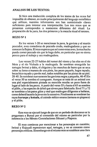 ANALISIS DE LOS TEXTOS:

      Si bien una traducción completa de los textos de los rezos fué
imposible de obtener, en razón principalmente del lenguaje metafórico
que utilizan , nuestros informantes nos han suministrado claves
suficientes para intentar una interpretación. Los tres rezos que se
presentan corresponden a momentos diferentes del ritual: La
preparación de la yuca, los dos primeros y la mezcla ritual el tercero.

REZO N°I

      En los versos 1-20 se mencionan la pava, la gaviota y el martín
pescador, aves comedoras de pescado crudo, madrugadoras y que no
conocen la flojera . El rezo expresa que así como estas aves , la muchacha
pueda comer pescado sin que le haga daño, en particular que no sienta
pereza para el trabajo y sea madrugadora.

       Los versos 22-27 hablan del rumor del viento y las olas en el río
Meta y el río Vichada a la madrugada. Se nombran enseguida las
tortugas Iwinai y daka, el chiguiro y las manchas de barro que se seca
sobre su lomo a manera de una pinta, los peces payarín, bagre rayado,
bocachico rayado y pavón real , todos notables por las pintas de su piel.
28-40. Se nombran nuevamente las gaviotas negra y pequeña, 46-47. En
el verso 50 se nombra el cunaguaro. Aunque se trata de un animal con
una piel especialmente pintada su mención resulta un poco fuera de
lugar aliado de los peces . A partir del verso 55 y hasta el 63 se nombra
el pilón, y las especies de árbol que sirven para fabricarlo . En el 71 y 72
se nombran a los patos gUire y real que madrugan diligentes a bañarse,
como deberá hacerlo lajoven en lo sucesivo. Finalmente se nombran las
rayas kuruepe y kotsala, el caimán mítico omana (tamana en piapoco)
y el pilón.

REZO N°2

      Este rezo se ejecutó luego de que en un período de descanso se le
preguntara a Burusi por el contenido del mismo en particular por la
referencia a los Héroes-Constelaciones Sikuani y Piapoco.

      El rezo comienza por mencionar a los personajes en cuestión;
Iwinai y Kajuyali representan aquí, tortugas, y no se conocen como
personajes míticos. Sinembargo en el mismo rezo se establece una clara
                                                                        47
 