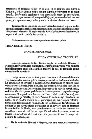 referencia al episodio m úleo en el cual se le amputa una pierna a
Kajuyali, y éste, con su propia sangre In pinta y convierte en el bagre
rayado. Se formula igualmente una asociación entre las secreciones
humanas, sangre menstrual, sangre de Kajuyali, orina de Iwinai, por una
parte, y las pinturas corporales y savia de ciertas plantas por la otra.

      Igualmente se establece una correspondencia con la pinta de los
peces de los que se mencionan precisamente a aquellos que presentan los
dibujos más vistosos . El bagre rayado Pseudoplatystomafasciatum, la
sapuara, el pavón real Cich/a ocellaris.

      Se formula entonces una oposición entre tres polos:

PINTA DE LOS PECES

                   SANGRE MENSTRUAL

                                 cmcx y TINTURAS VEGETALES
     Ematupi, abuelo de las damas, según la tradición Sikuani y
Piapoco, representa aquí el cucurito [Maximiliana regia] y se nombra
inmediatamente antes de la ardilla materi, la cual es reputada como
comedora de este fruto.

       Luego de nombrar las tortugas el rezo evoca el TUmor del viento
y de las olas al amanecer, y de la canoa que surca los ríos Meta y Vichada.
La asociación de tortugas y constelaciones formulada en el rezo tiene
varias connotaciones. Para los Cuiba la nomenclatura de las estrellas se
reduce básicamente a dos nombres. El genérico de estrella es opitheito,
opiteito, término que se podría traducir como pierna o pepa de tortuga
matamata. El segundo nombre es el del Lucero (Mercurio o Venus), que
se denomina: jarawato, es decir 'envuelto de terecay'. También las
nubes, si se pueden incluir en el paradigma de los cuerpos celestes,
tienen una denominación relacionada con las tortugas. Jarabokoa es el
nombre de las nubes negras portadoras de la lluvia y, aquí se entiende
la asociación, la lluvia, más precisamente la lluvia del verano, se
considera como orines de las tortugas. Estas lluvias de verano o primeras
lluvias anunciadoras del invierno caen justamente en el tiempo de
postura de las tortugas.

      En la tradición Sikuani y Piapoco, por otra parte, existen varias

48
 