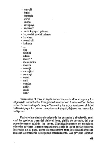 wayuli
       -   kulisi
       -   kumada
             ...
           wmn
       -   unana
           katsipaya
           korokoro
       -   irena kajuyali priame
           kuyawisi yawiri priame
       -   kuwitsa
           matsiruli
           kakuwe

      - eka
        tipitipi
      - ediku
      - materi?
        mekumeku
        moleta
      - nowaji
        menejitsi
      - ematupi
           werm
      - muli
      - waraka
      - tsaliri
        unuli
      - tsaliri

      Terminado el rezo se sopla nuevamente el caldo, el agua y los
objetos de la muchacha. Enseguida durante unos 15 minutos Don Pedro
recuerda como después de que Tsamani y los suyos tumbaron el árbol
kaliawiri y que le cortaron una pierna a kajuyali, dejaron los rezos a los
indígenas.

      Pedro relata el mito de origen de los pescados y el episodio en el
cual las gaviotas traen del cielo el jiope, pisillo de pescado, del que
posteriormente saldrán los peces. Significativamente se menciona
cómo las gaviotas llegaron cargando una tinaja de la que decían contenía
los restos de su papá, como es constumbre entre los sikuani antes de
realizar la ceremonia de segundo enterramiento. Las gaviotas lloraban

                                                                      63
 