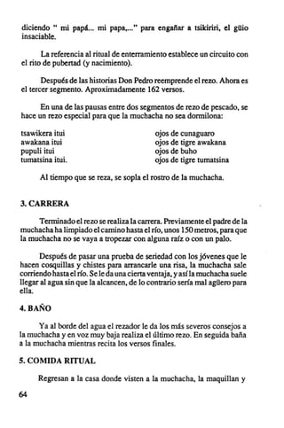 diciendo .. mi papá... mi papa...... para engailar a tsikiriri, el gUio
insaciable.

       La referencia al ritual de enterramiento establece un circuito con
el rito de pubertad (y nacimiento) .

       Después de las historias Don Pedro reemprende el rezo. Ahora es
el tercer segmento. Aproximadamente 162 versos.

      En una de las pausas entre dos segmentos de rezo de pescado. se
hace un rezo especial para que la muchacha no sea dormilona:

tsawikera itui                              ojos de   cunaguaro
awakana itui                                ojos de   tigre awakana
pupuli itui                                 ojos de   buho
tumatsina itui.                             ojos de   tigre tumatsina

      Al tiempo que se reza, se sopla el rostro de la muchacha.


3. CARRERA

      Terminado el rezo se realiza la carrera. Previamente el padre de la
muchacha ha limpiado el camino hasta el río. unos 150 metros. para que
la muchacha no se vaya a tropezar con alguna raíz o con un palo.

      Después de pasar una prueba de seriedad con los jóvenes que le
hacen cosquillas y chistes para arrancarle una risa. la muchacha sale
corriendo hasta el río. Se le da una ciena ventaja. y así la muchacha suele
llegar al agua sin que la alcancen. de lo contrario sería mal agUero para
ella.

4. BAÑO

      Ya al borde del agua el rezador le da los más severos consejos a
la muchacha y en voz muy baja realiza el último rezo . En seguida baña
a la muchacha mientras recita los versos finales.

5. COMIDA RITUAL

      Regresan a la casa donde visten a la muchacha, la maquillan y

64
 