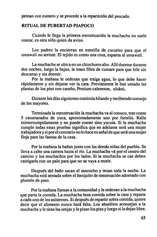 peinan con esmero y se procede a la repartición del pescado.

RITUAL DE PUBERTAD PIAPOCO

      Cuando le llega la primera menstruación la muchacha no suele
contar, es otra niña quien da aviso.

    Los padres la encierran en esterilla de cucurito para que el
umawali no arrime. El tejido es como una cruz, espanta al umawali.

      La muchacha se ubica en un chinchorro alto. Allí duerme durante
dos noches, luego la bajan, le traen fibra de cumare para que hile sin
descanso y sin dormir.
      Por la mañana le ordenan que traiga agua, lo que debe hacer
rápidamente y sin dejarse ver la cara. Previamente le han untado las
plantas de los pies con caraño, Protium calenense, ulukei.

      Durante los días siguientes continúa hilando y recibiendo consejo
de los mayores.

       Terminada la menstruación la muchacha va al conuco, trae como
5 catumarados de yuca, aproximadamente uno por familia. RalIa
ininterrumpidamente y no puede comer sino yucuta. Si la muchacha
cumple todas estas pruebas significa que en adelante será una mujer
trabajadora y si por el contrario no lo hace es señal de que será una mujer
floja para las faenas de la casa.

      Por la mañana la bañan junto con las demás niñas del pueblo. Se
lleva a cabo una carrera hasta el río. La muchacha vá por el centro del
camino y los muchachos por los lados. Si la muchacha se cae deben
castigarla con un palo para que no se vaya a morir.

     Después del baño sacan el sancocho y rezan toda la noche. La
muchacha está sentada sobre el banquito de mestruación adornado con
plumón de pato.

      Por la mañana llaman a la comunidad y le ordenan a la muchacha
que pana la comida. La muchacha bota comida sobre la casa y reparte
a cada uno de los asistentes. Si después de repartir sobra comida, quiere
decir que el alimento nunca hará falta. Los abuelitos aconsejan a la
muchacha y le tiran las orejas y le pisan los pies y luego si la dejan libre.

                                                                          65
 