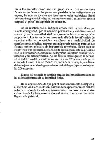 hacia los animales como hacia el grupo social. Las restncciones
femenina s enfrente a los peces son paralelas a las obligaciones de
esposa, las normas sociales son igualmente reglas ecológicas. En el
universo integrado del indígena, la sangre menstrual es también pintura
corporal o " pinta" en la piel de los animales.

       Se ha repetido que el indígena conoce bien la naturaleza por
simple contig üidad; por el contacto permanente y cotidiano con el
entorno y por la necesidad vital de aprovechar los recursos que éste
proporciona. Los textos de los rezos, más alla de la identificación de
especies útiles o comestibles, establecen una multiplicidad de
correlaciones simbólicas entre un gran número de especies entre las que
figuran muchos animales sin importancia económica. No se trata de
resolver o no un problema alimenticio de aprovechamiento de proteínas
sino un asunto teórico, como es el de lograr un inventario exhaustiv o de
especies y su caracterización. Así no resulta casual que en la versión
sikuani del rezo del pescado se enumeren unas 250 especies de peces
cuando la lista de Plutarco Cala de los peces de la Orinoquía, resultante
del trabajo acumulado de generaciones de ictiólogos, apenas sobrepasa
las 200 especies.

       El rezo del pescado es también para los indígenas llaneros una de
las últimas fronteras de su identidad étnica.

       De la constatación de que por el condicionamiento biológico y
alimenticio los dueños de los animales no tienen poder sobre los blancos
se ha deslizado a la idea de que éstos se hacen inocuos cuando se vive
en la esfera de los blancos o cuando se decide no rezar a una muchacha
llegada a la pubertad.




                                                                     67
 