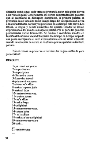 describir como sigue: cada verso se pronuncia en un sólo golpe de voz
a un ritmo regular. Generalmente los versos comprenden dos palabras
que al acentuarse se distinguen claramente. la primera palabra se
pronuncia en un tono alto en un tiempo largo. En la segunda cae la voz
a la altura del habla normal y se pronuncia en un tiempo más breve. Los
labios, la lengua y demás elementos del aparato fonador se tensan
imprimiendo a los sonidos un aspecto palatal, Por su parte las palabras
pronunciadas varían libremente. Se omiten o modifican sonidos en
función del esfuerzo vocal del rezador. De tiempo en tiempo luego de
una pausa reemprende el rezo eventualmente con un ritmo diferente
cuando la secuencia de versos se conforma por tres palabras o también
por una.

      Burusi entona un primer rezo mientras las mujeres rallan la yuca
para el ritual:

REZO N".

      1- ya mami wa yenon
     2- nuperi tsewa
     3- nuperi yona
     4- Kerawiru tsewa
     5- kerawiru tsewai
     6- pia mami wa yenon
     7- akane as'a xEtan
     8- nakats'a pawajotin
     9- nakatsi baya
     ID- matanono tsaway.
     11- tsejeto yonan
     12- as'a xEtan
     13- naka: baya
     14- phiphinei
     15- matanono tsawaya.
     16- akane yona
     17- as'a xEtan
     18- nakatsa baya phiphinei
     19- matanono tsewa ya
     2D- ahh .. .
     ...
     21- tsejeto yona


34
 