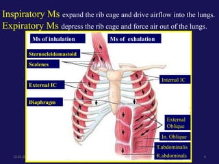 Inhaled Rib RF-2024-2025 .pptxcauses and conditions associated | PPTX