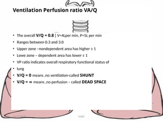 Ventilation Perfusion ratio VA/Q
• The overall V/Q = 0.8 [ V=4Lper min, P=5L per min
• Ranges between 0.3 and 3.0
• Upper zone –nondependent area has higher ≥ 1
• Lowe zone – dependent area has lower ≤ 1
• VP ratio indicates overall respiratory functional status of
• lung
• V/Q = 0 means ,no ventilation-called SHUNT
• V/Q = ∞ means ,no perfusion – called DEAD SPACE
11/23/2024 MsRC 21
 
